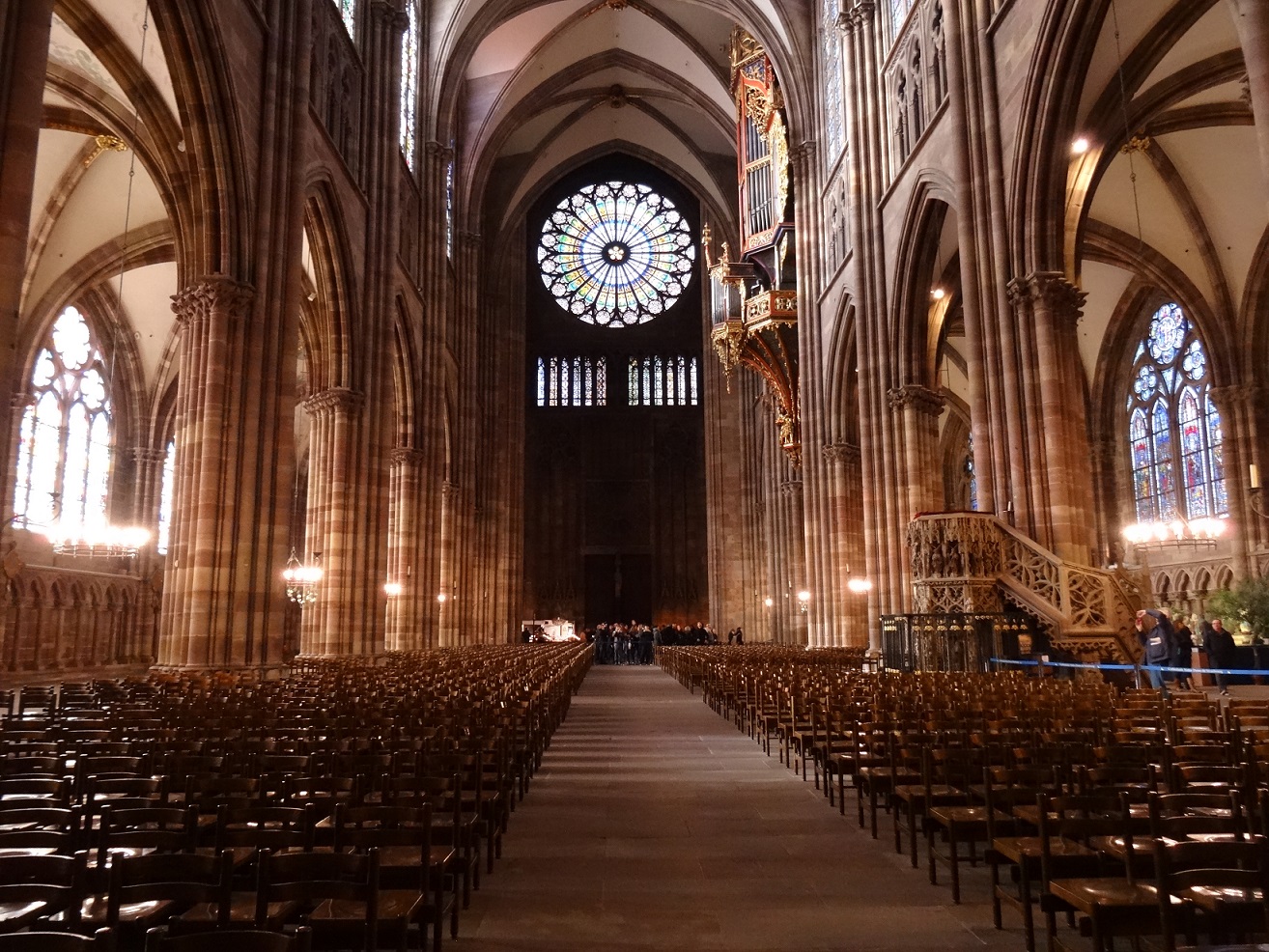 La cathédrale de Strasbourg - Cookie et Attila